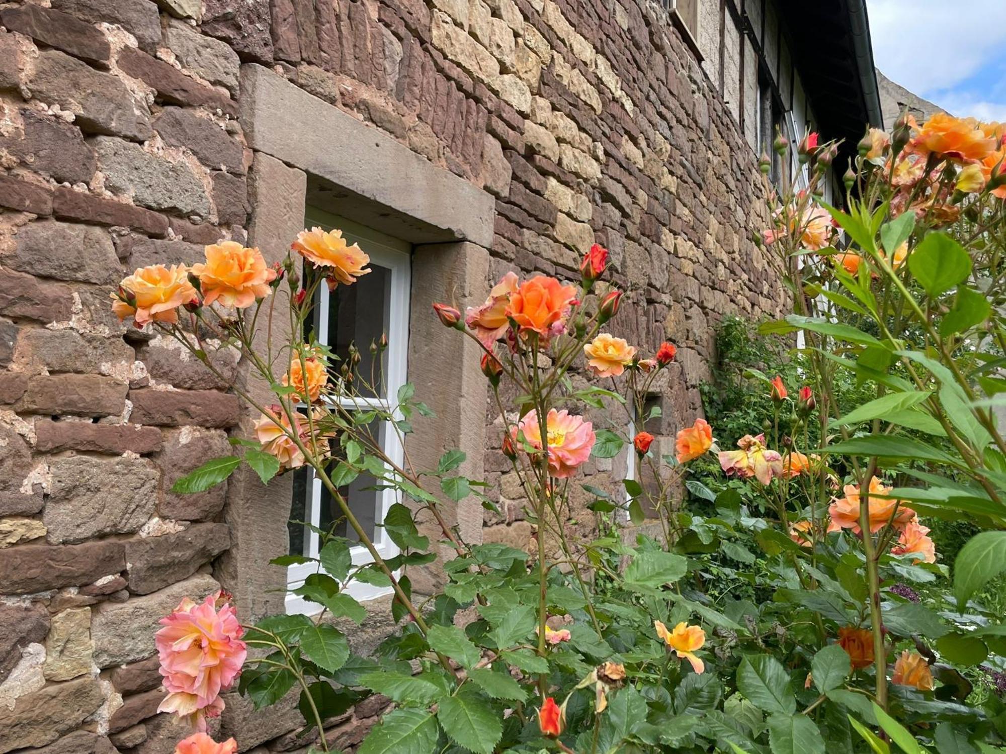 Cherrytree Cottage 1840 Heimbach Eksteriør billede
