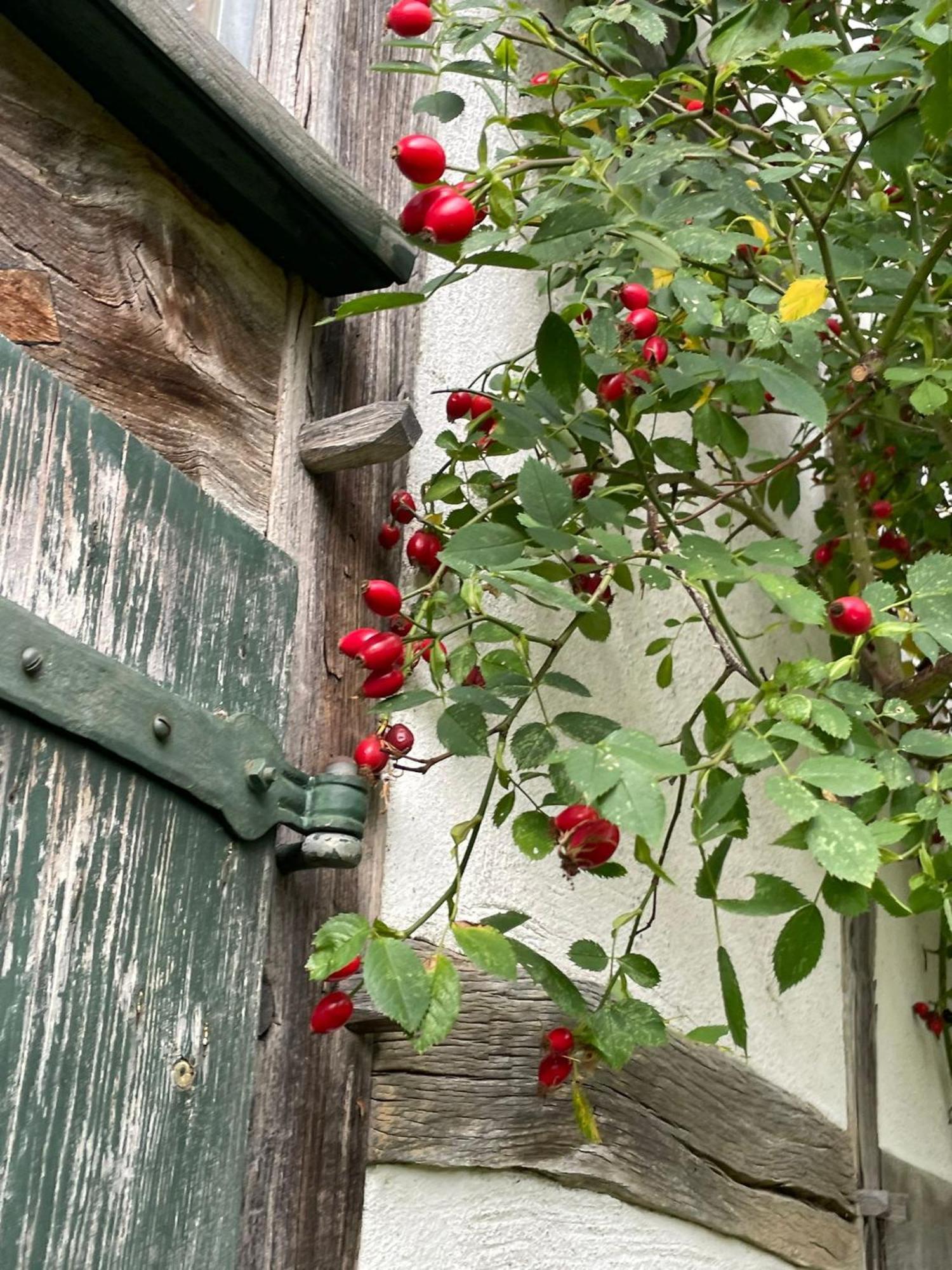 Cherrytree Cottage 1840 Heimbach Eksteriør billede
